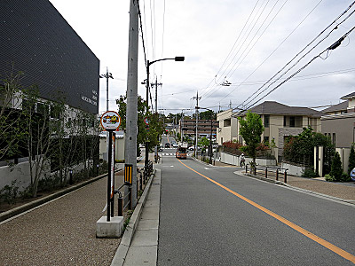 m114_20130520_01.jpg