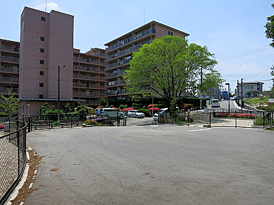 s06_myricahills_08.jpg