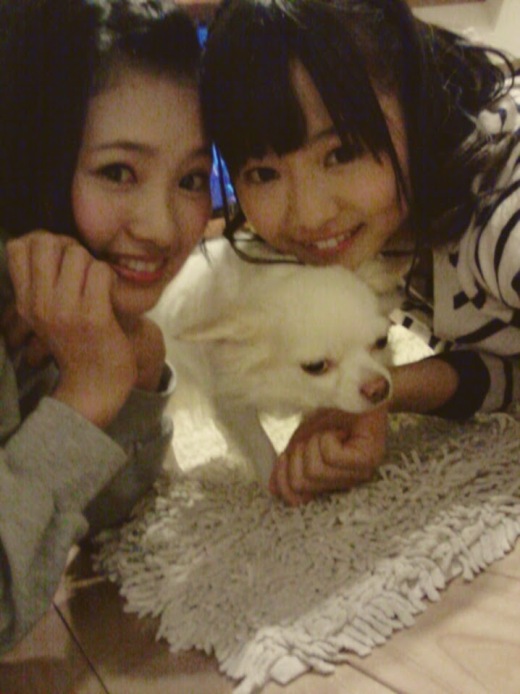 ti-haru130401-2-1.jpg