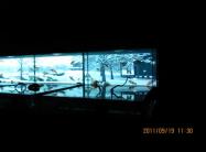 IMG_1053_convert_20110920211720アクアリウムA