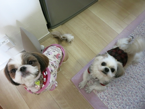 今日のふたり