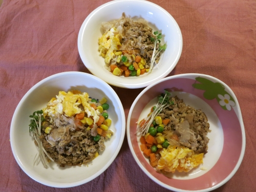 夜ご飯 3色そぼろご飯
