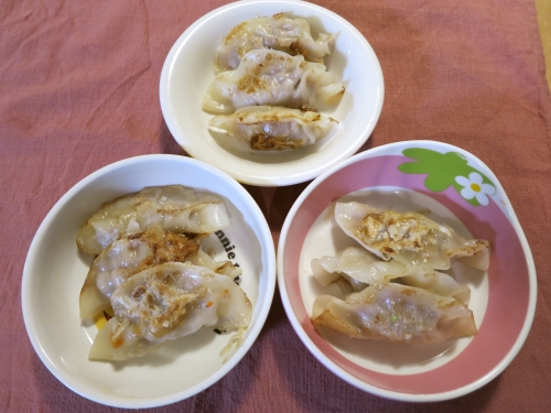 夜ご飯〜手作り餃子