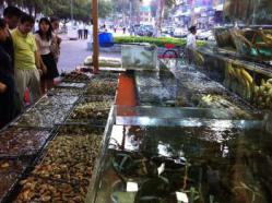 IMG_3870_convert_20110912171540.jpg