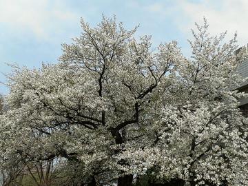 IMAG0446-1.jpg