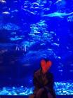 fc2blog_201312012140507bd.jpg