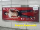 20130501パナ亀