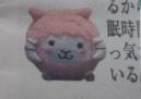 20130529ヨーネル
