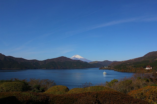 IMG_5334.jpg