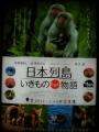 日本列島