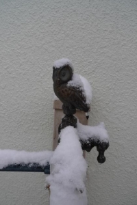 雪