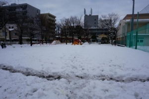 雪
