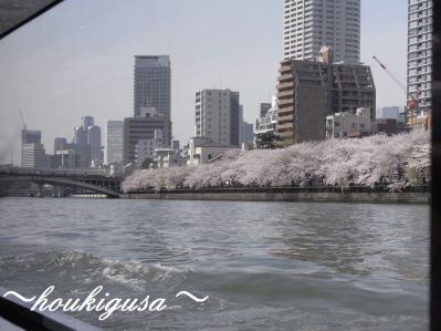R0018797.jpg