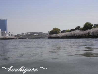 R0018799.jpg
