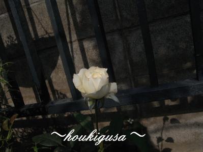 R0019541.jpg