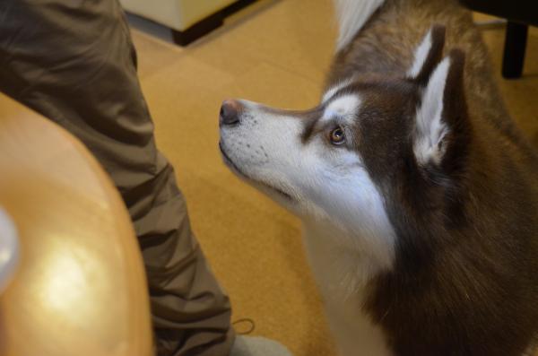 DSC_0571_convert_20130209192158.jpg