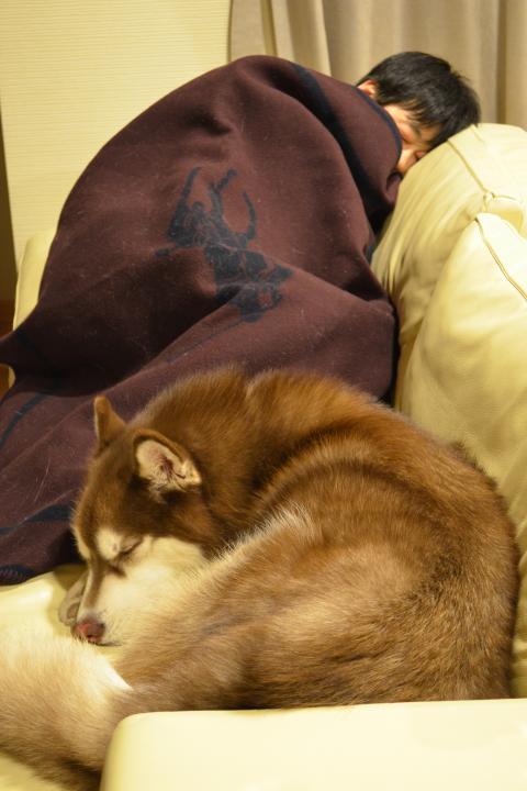 DSC_0589_convert_20130210202313.jpg