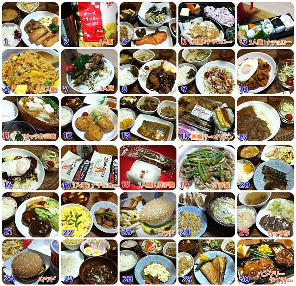2011090130gohan.jpg