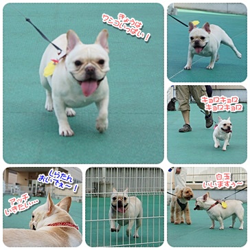 20110923yasumi2.jpg