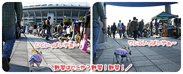 20111010sanpo.jpg