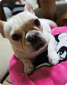 20111013bon.jpg
