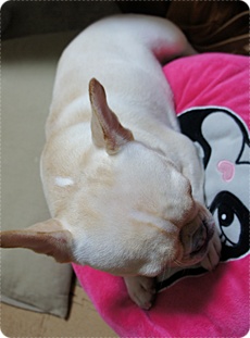 20111013bon2.jpg