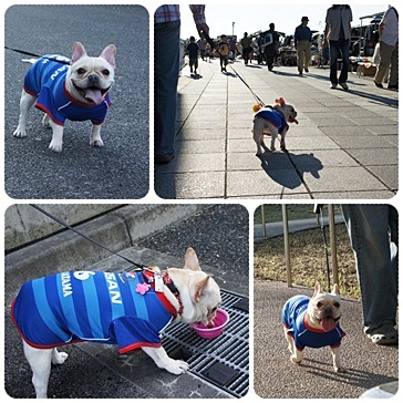 20111016sanpo.jpg