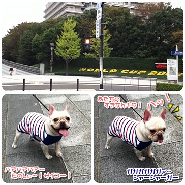 20111021sanpo.jpg