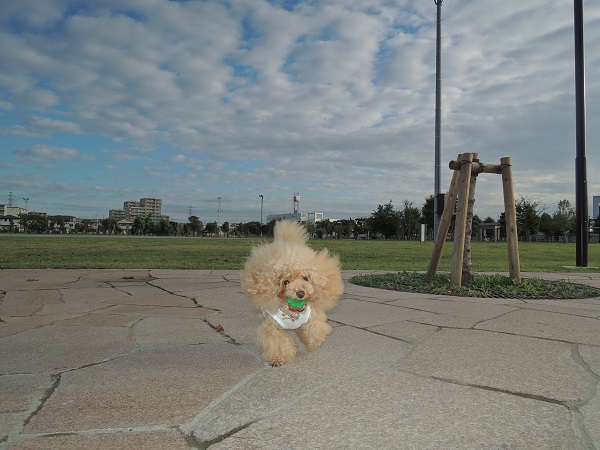 DSCN9363.jpg