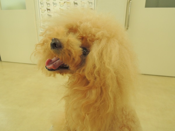 DSCN9716.jpg