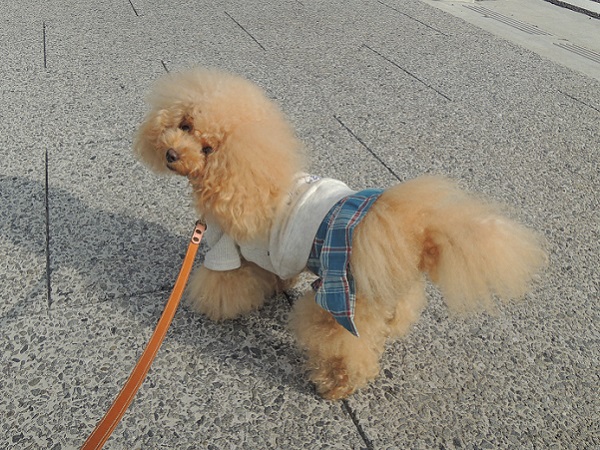 DSCN9722.jpg