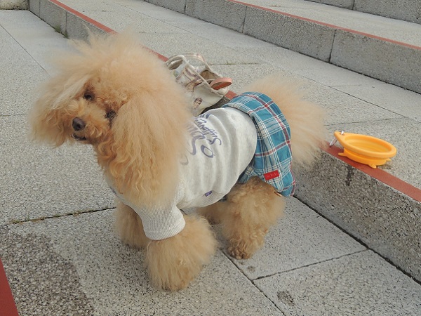 DSCN9733.jpg