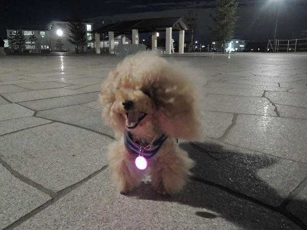 DSCN9830.jpg