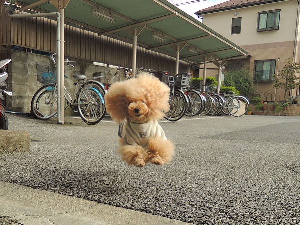 DSCN9831.jpg