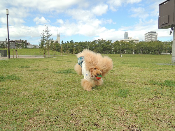 DSCN9841.jpg