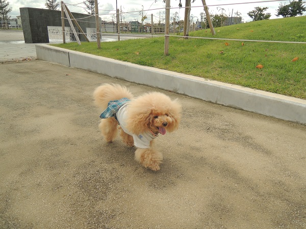DSCN9845.jpg