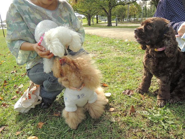 DSCN9855.jpg