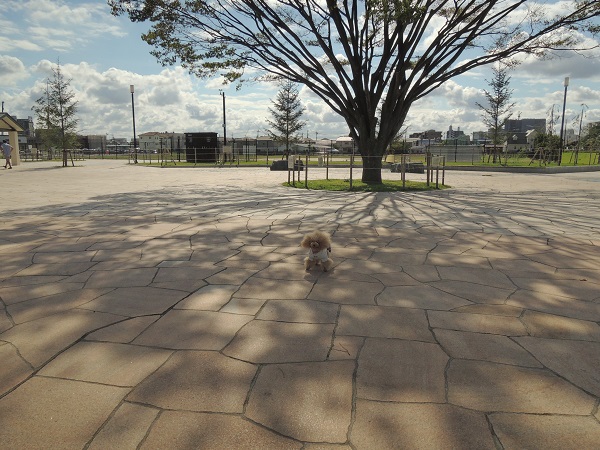 DSCN9861.jpg