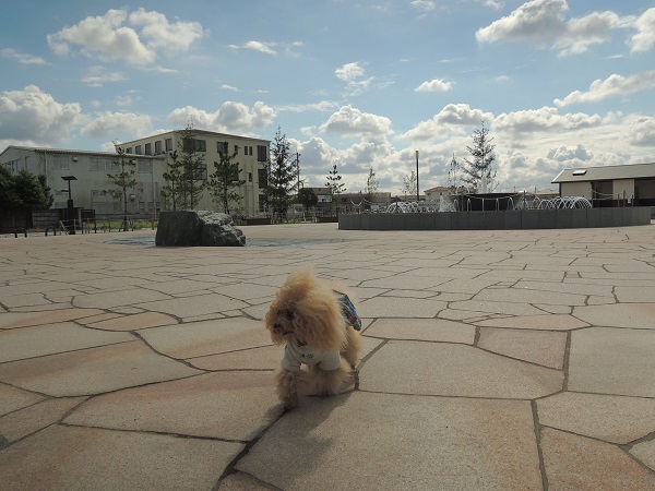 DSCN9883.jpg