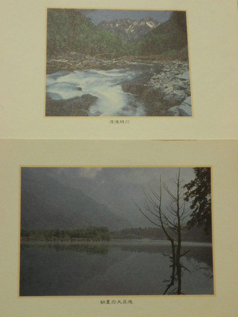 100_0012.jpg
