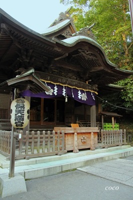 IMG_20141001-005-6122.jpg