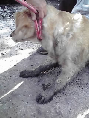 12-04-02_013.jpg