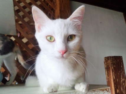 !cid_01@141005.jpg
