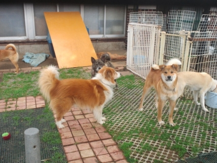 2013052109020001.jpg