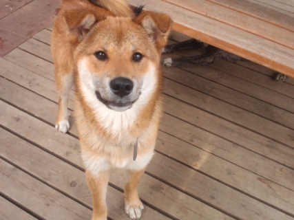 2013052715450001.jpg