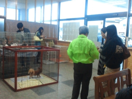 2013110214070000.jpg