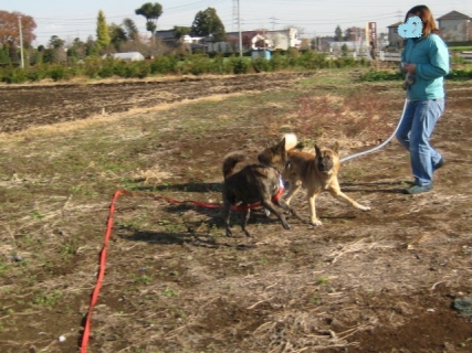 散歩