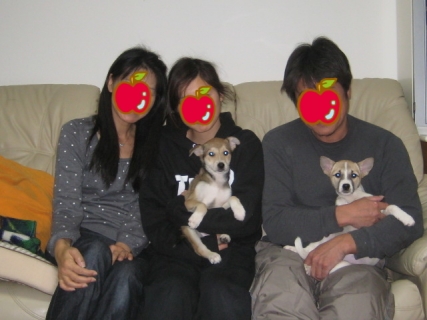 ななこといっこ