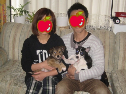 むうとみい