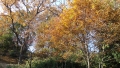 DSC00780.jpg
